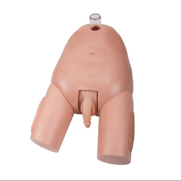 Advanced Male Bladder Puncture Simulator