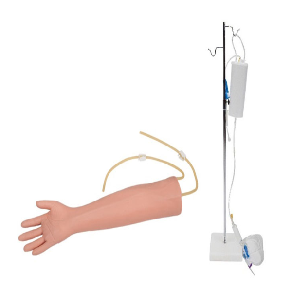 Advanced Elder Venipuncture Training Arm