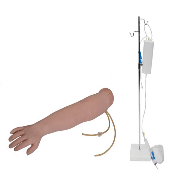 Arm Venipuncture & Intramuscular Injection Training Model