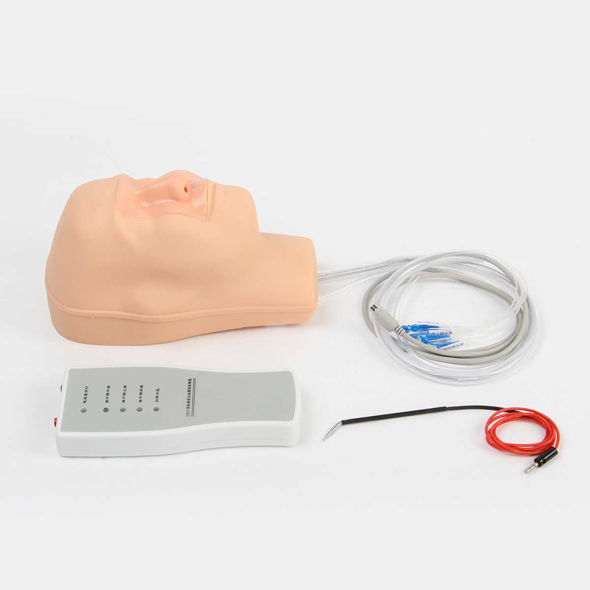 高级鼻腔出血模型