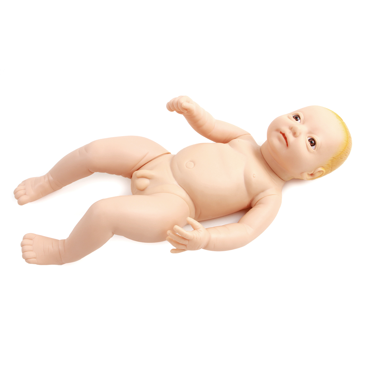 高级出生婴儿模型