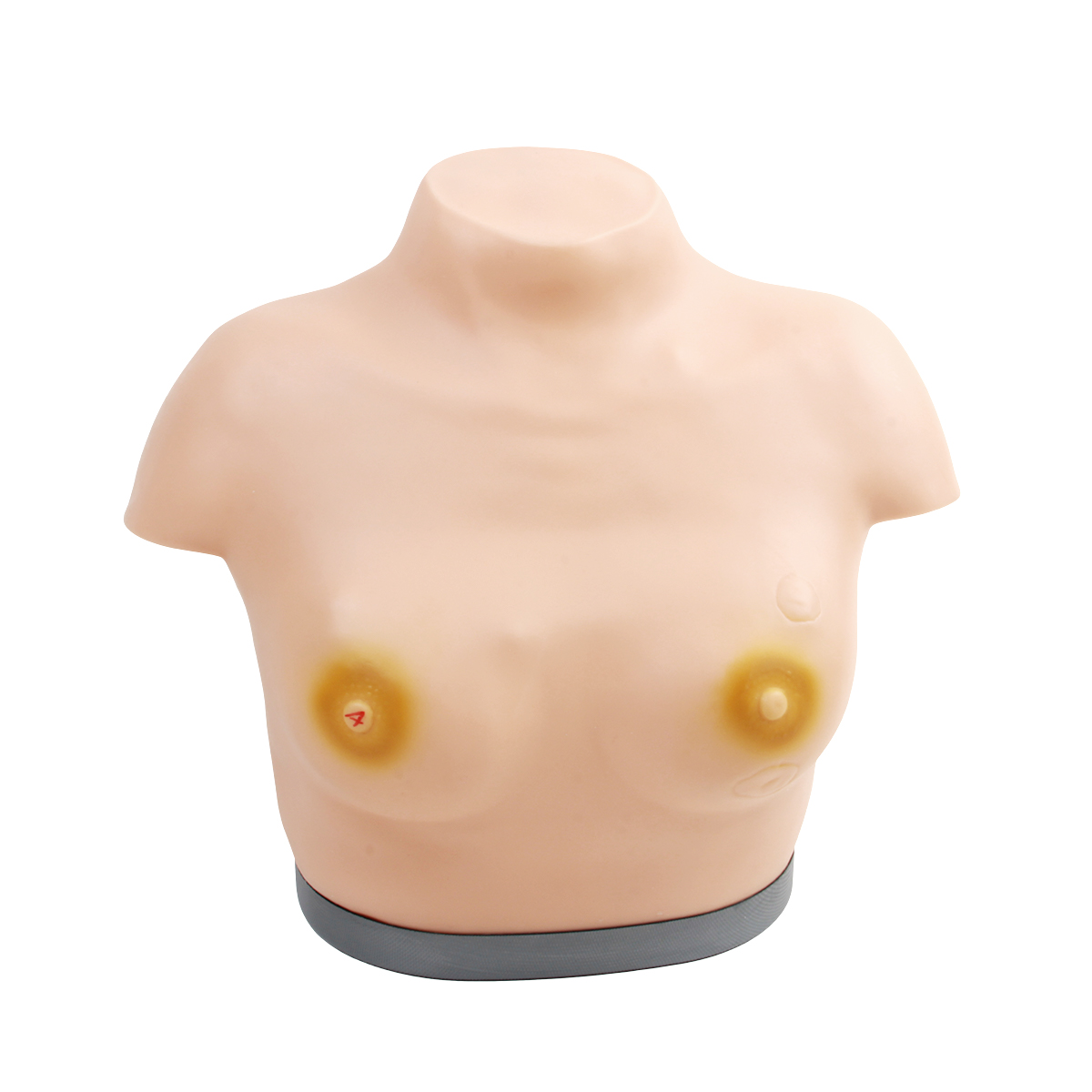 高级乳腺视诊与触诊模型