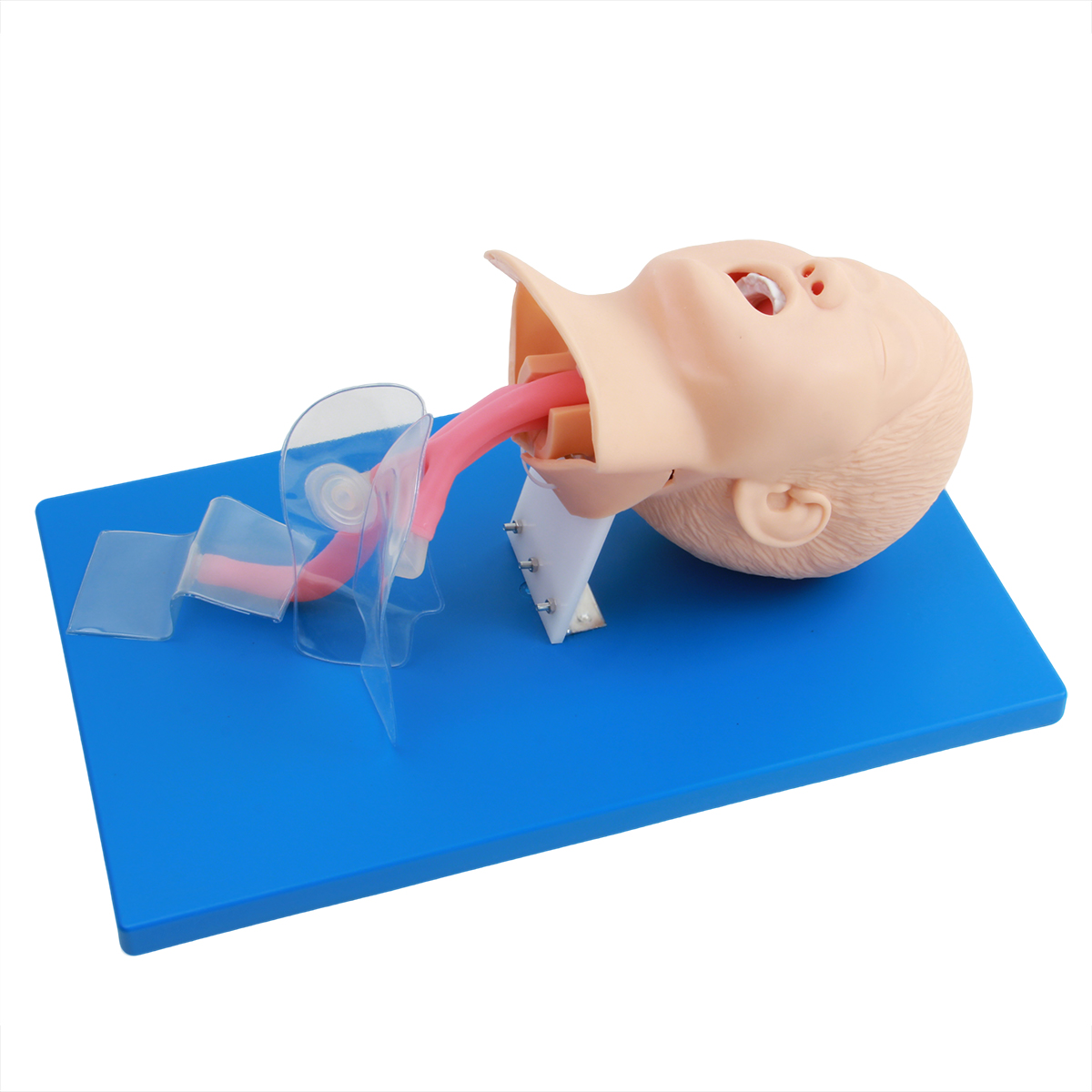 高级儿童气管插管模型