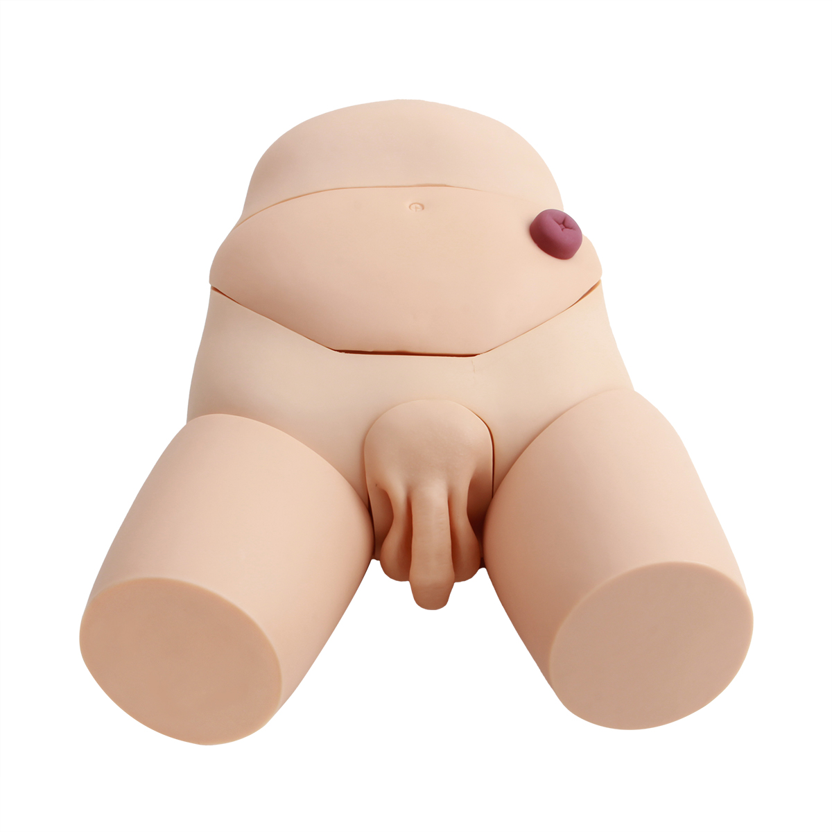 高级男性导尿模型