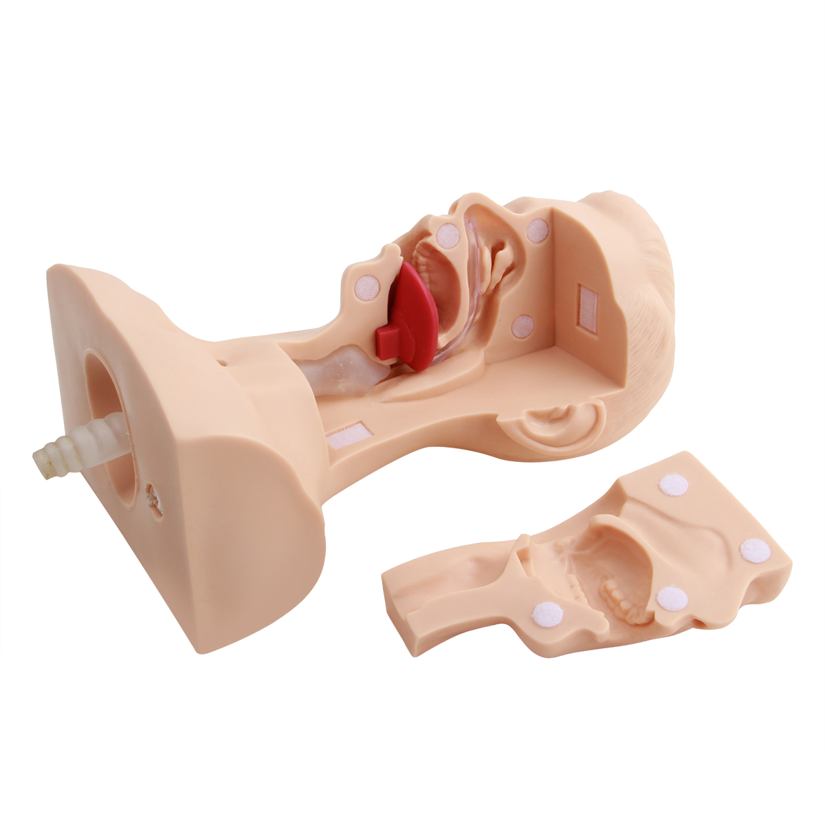 高级吸痰练习模型