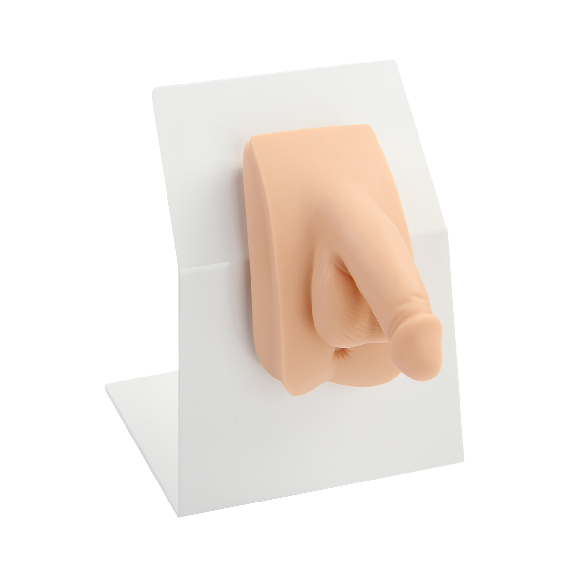  高级着装式男性导尿模型