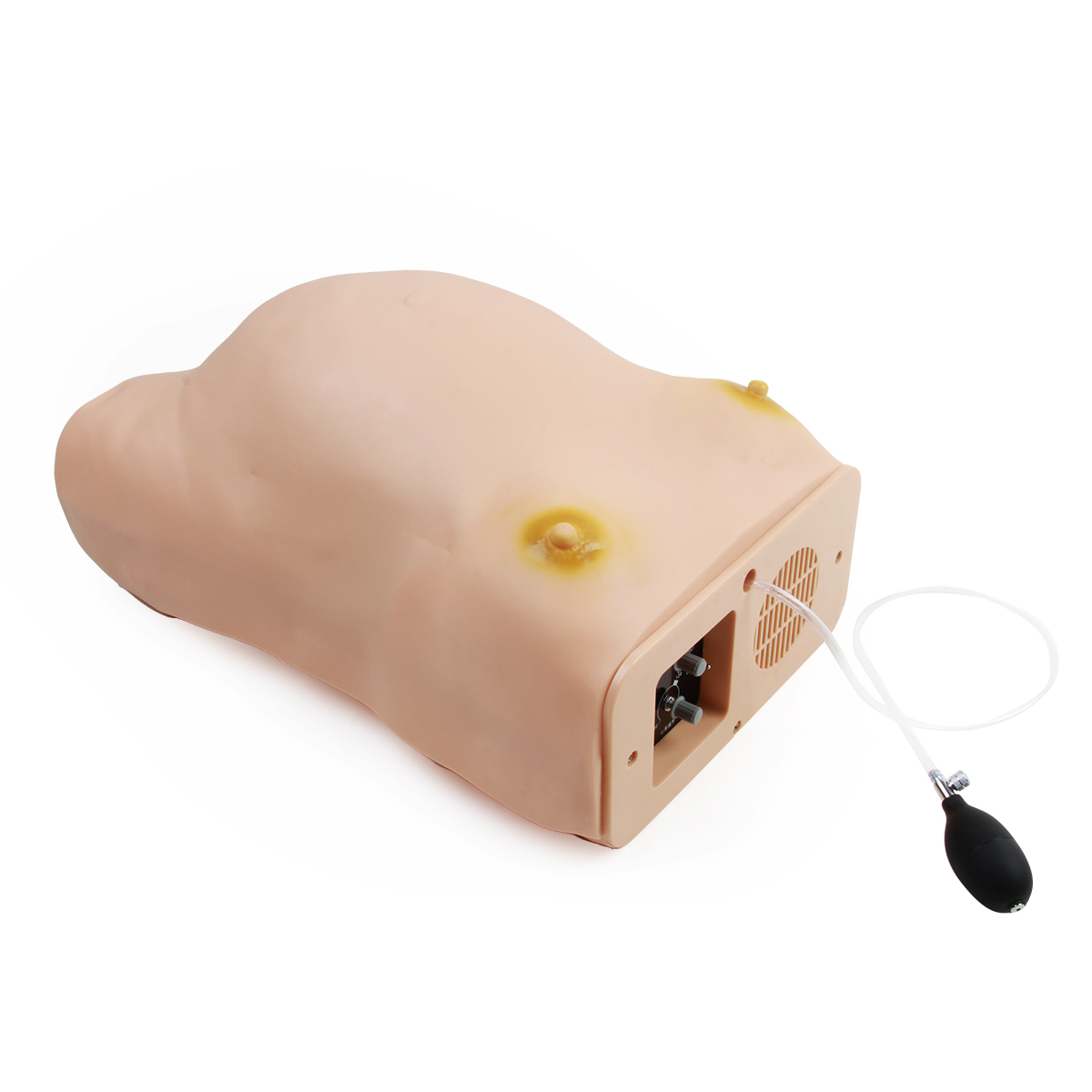 高级电脑孕妇检查模型