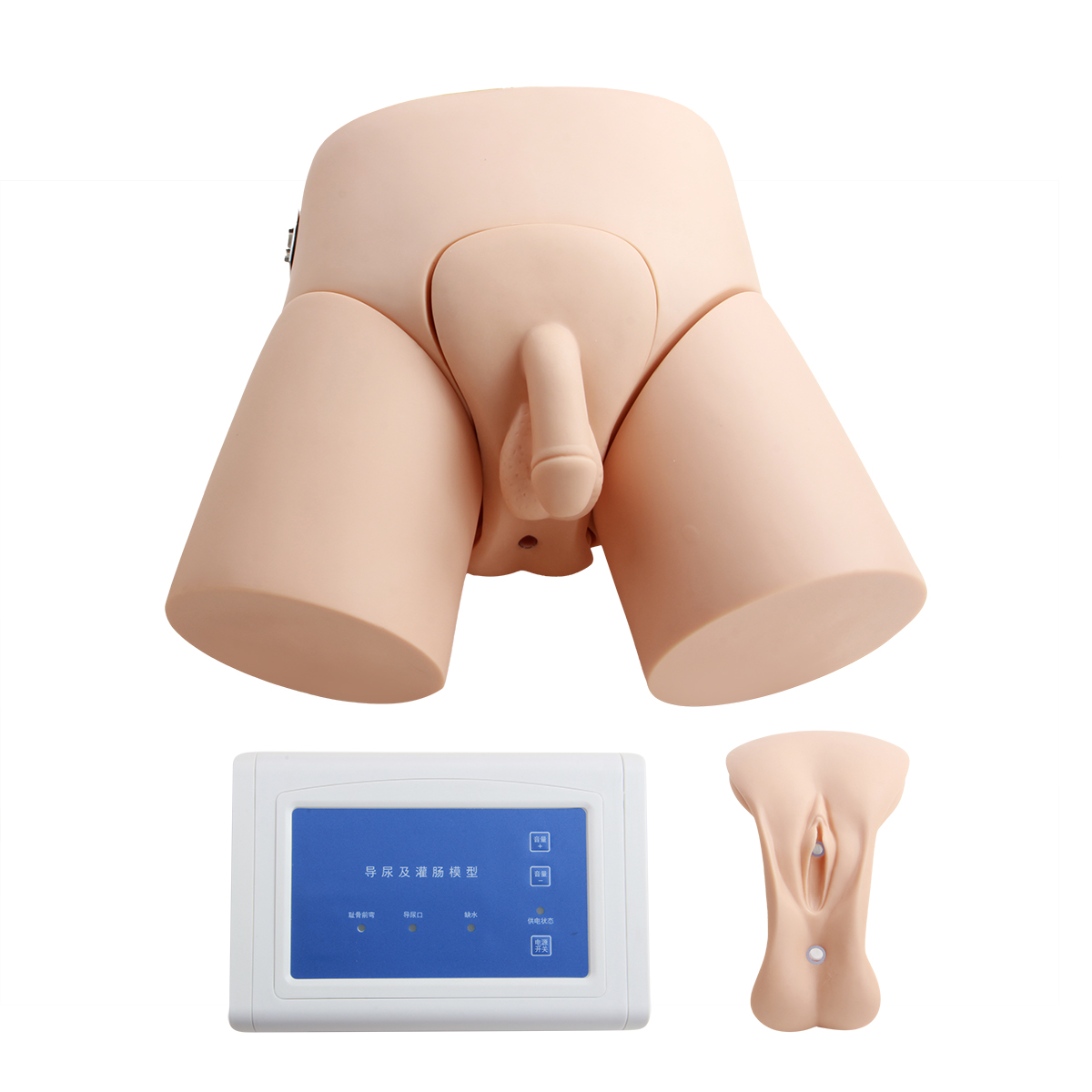 电子导尿及灌肠教学实习模型