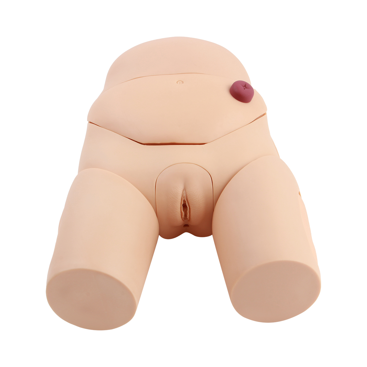 高级女性导尿模型