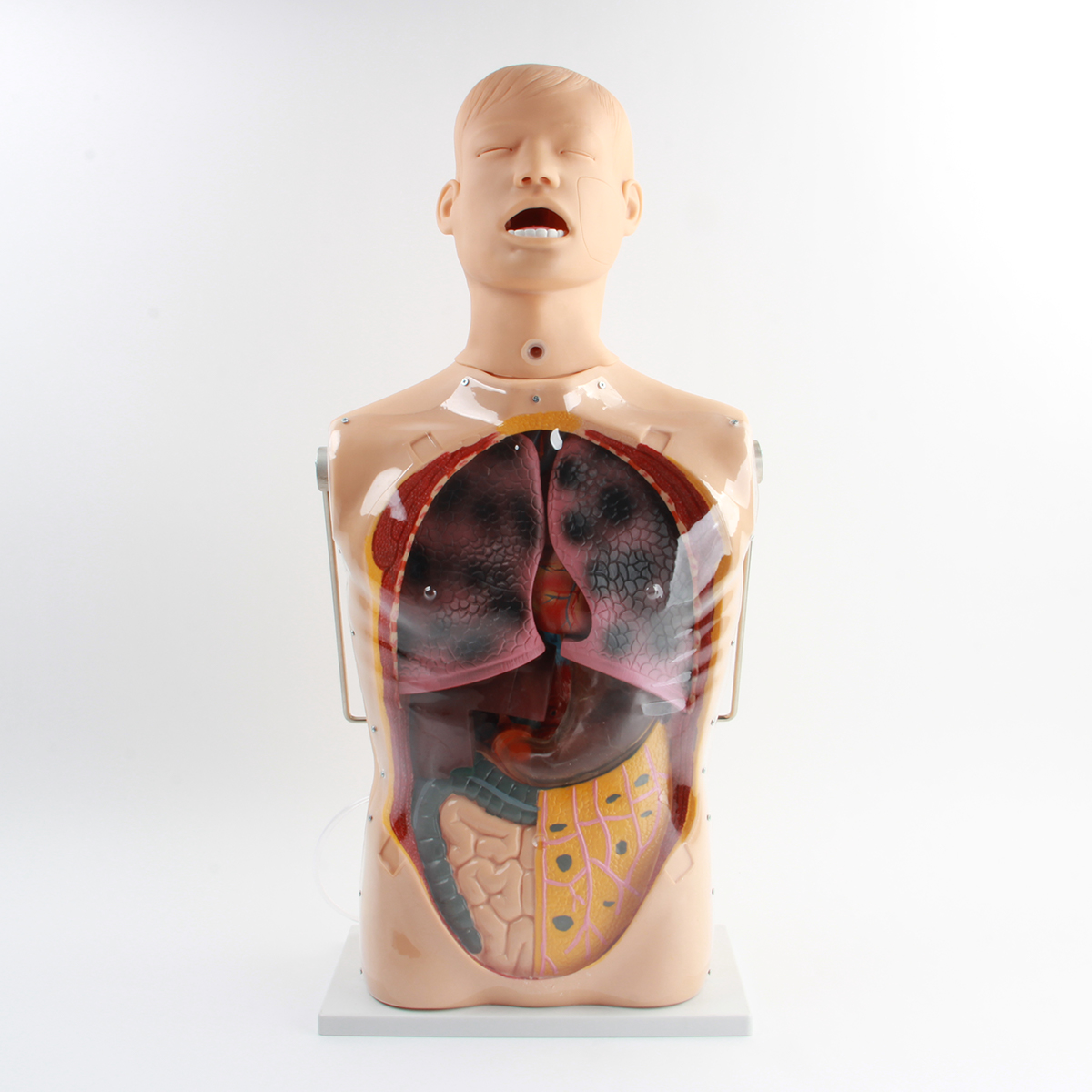 三腔二囊管训练模型