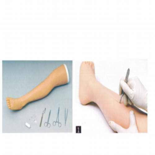 高级外科腿部缝合训练模型