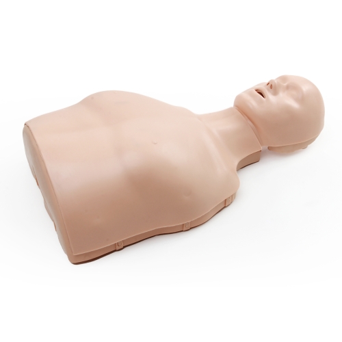 半身心肺复苏训练模拟人（简易型）