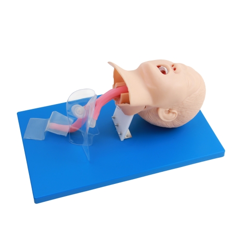 高级儿童气管插管模型