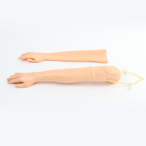 高级手臂静脉穿刺及肌肉注射训练模型（可换外皮）