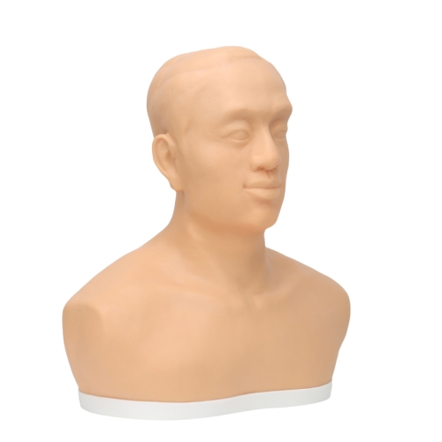针刺训练头部模型