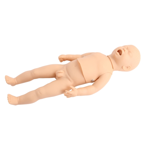 新生儿生长指标评定及护理训练模型