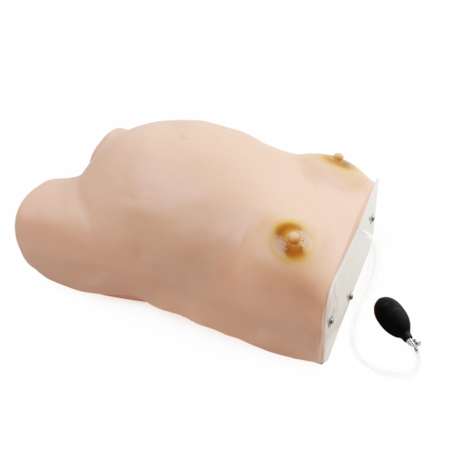 高级孕妇检查模型