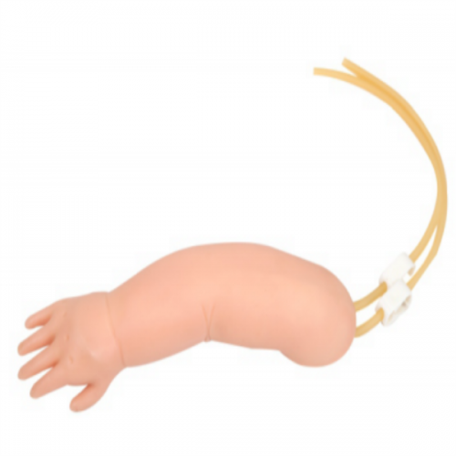 高级婴儿手臂静脉穿刺模型
