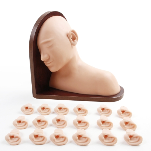 高级耳部检查模型