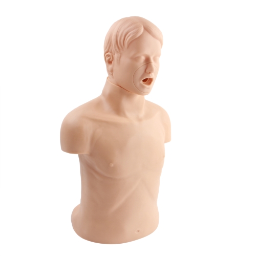 高级成人气道梗塞及CPR模型