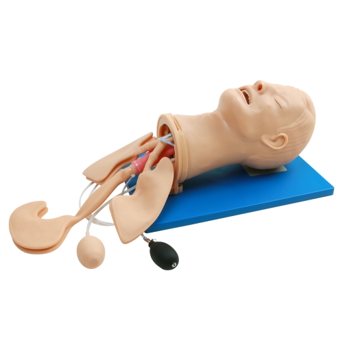 全功能气道管理模型