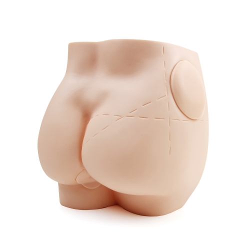 臀部注射实习模型