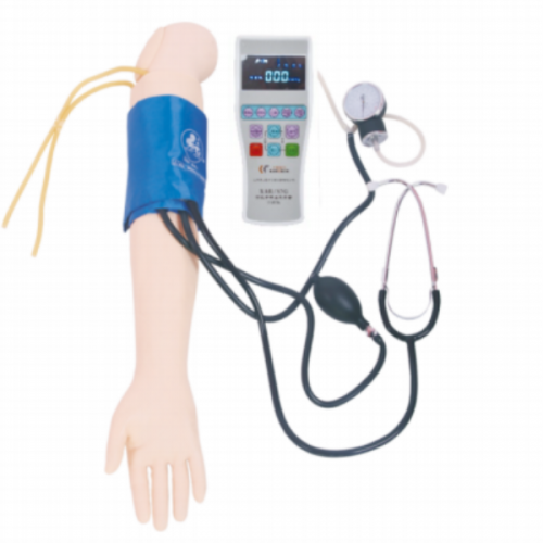 高级手臂血压测量训练模型（彩色液晶）