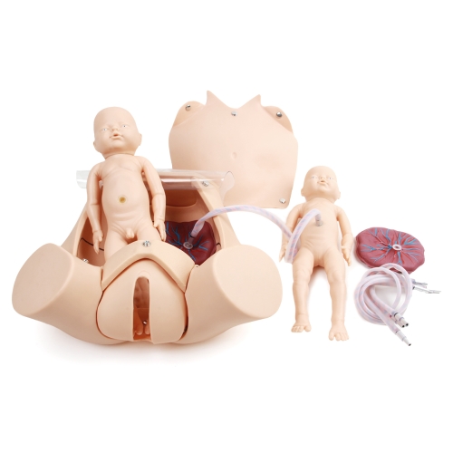高级分娩综合技能训练模型